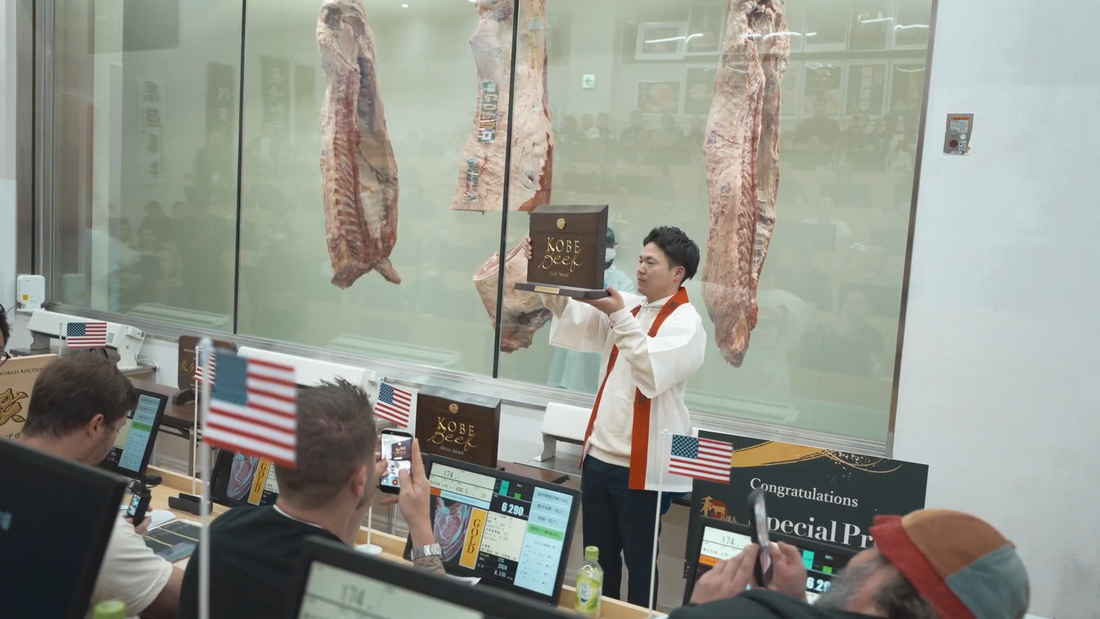 JWWO 2026: Đỉnh Cao Lịch Sử Hơn 70% Thân Thịt Đạt BMS 12 | Wagyu Master