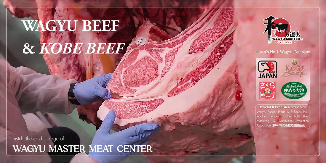 Bò Wagyu Và Bò Kobe Khác Nhau Như Thế Nào? Phân Biệt Dựa Trên Tiêu Chuẩn JMGA