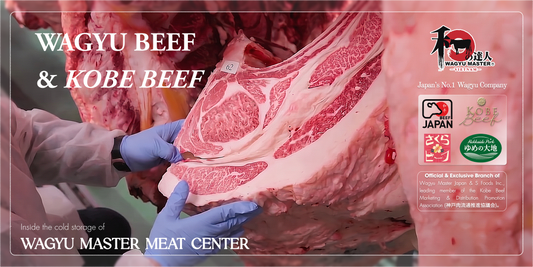 Bò Wagyu Và Bò Kobe Khác Nhau Như Thế Nào? Phân Biệt Dựa Trên Tiêu Chuẩn JMGA