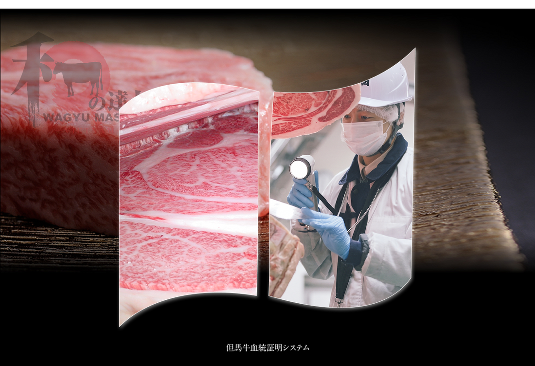Bò Wagyu A5 Là Gì? Giải Mã Hệ Thống Phân Hạng Thịt Bò Nhật Bản (JMGA)