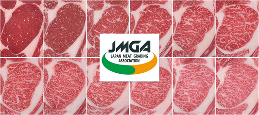 Chi Tiết Về Chỉ Số Yield Grade A/B/C | Phân hạng Thịt Bò Nhật Bản (Beef Carcass Grading) | Wagyu Master