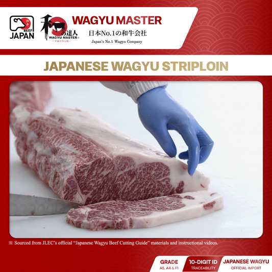 [Nghệ Thuật Pha Lóc Wagyu] Striploin — Hương Vị & Kỹ Nghệ Chuẩn JLEC