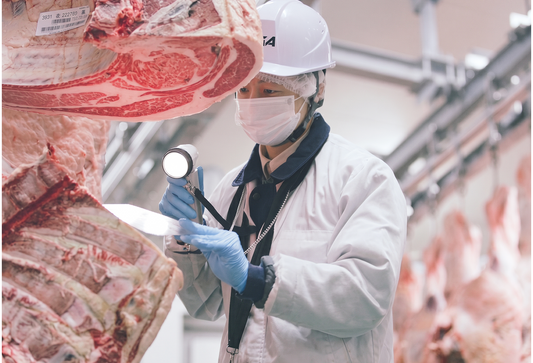 Tìm Hiểu Từ A-Z Về Hiệp Hội Phân Hạng Thịt Bò Nhật Bản (JMGA) | Wagyu Master VN
