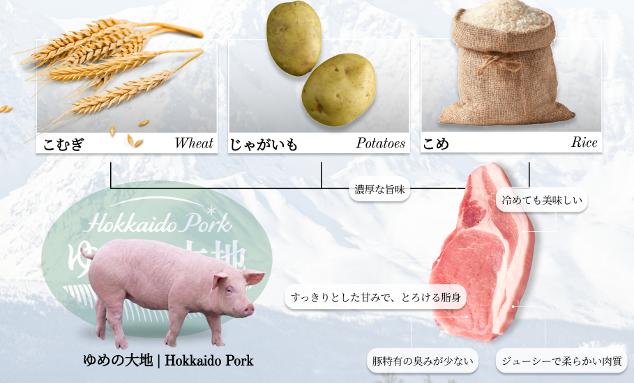 Công Thức Thức Ăn Triệt Tiêu Mùi Hôi Heo Hokkaido Yume No Daichi | Wagyu Master