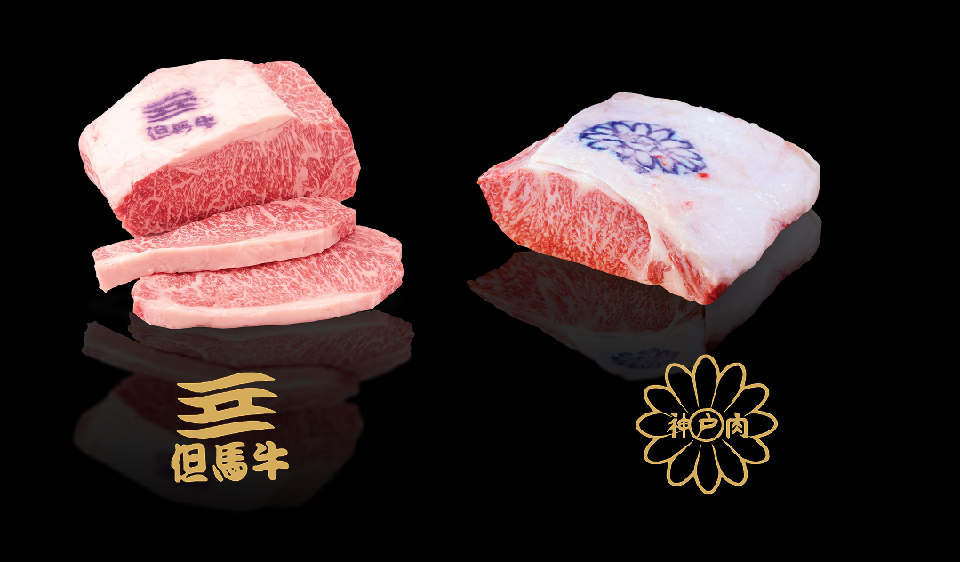Tiêu Chuẩn Bò Kobe Khắt Khe Nhất Thế Giới: Điều Gì Biến Tajima Beef Thành Kobe Beef?