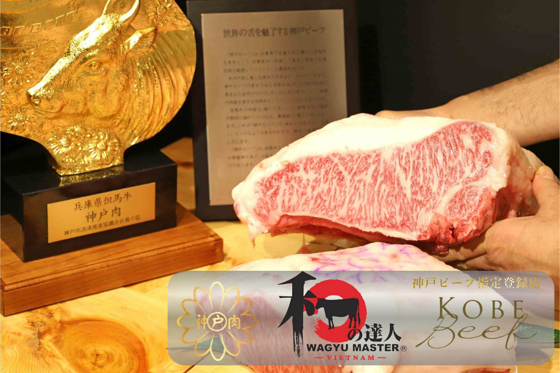 Thịt bò Kobe Nhật – Biểu tượng đẳng cấp của Wagyu Nhật và tinh hoa ẩm thực Nhật Bản